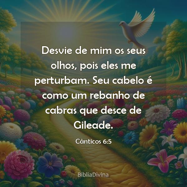 Cânticos 6:5