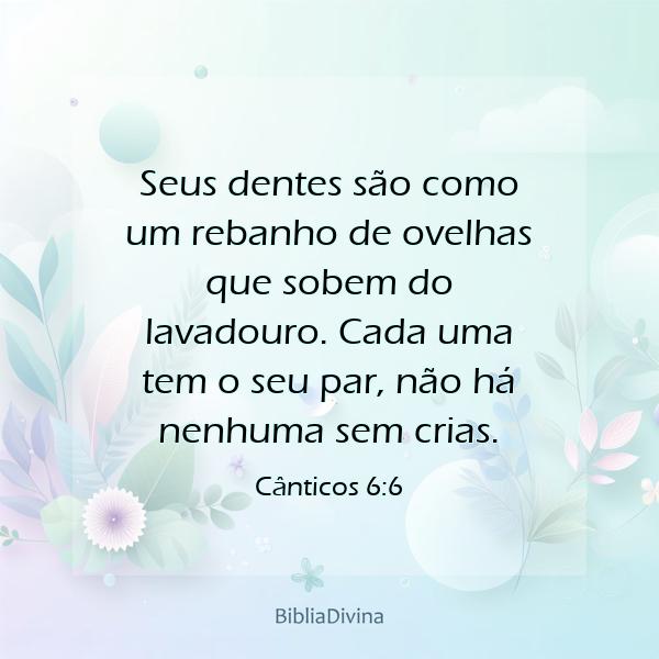 Cânticos 6:6