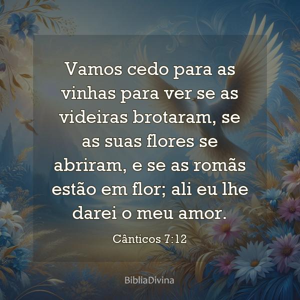 Cânticos 7:12