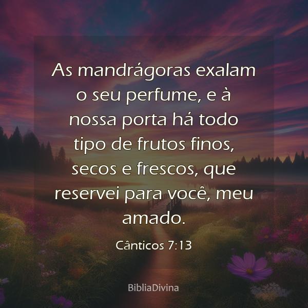 Cânticos 7:13