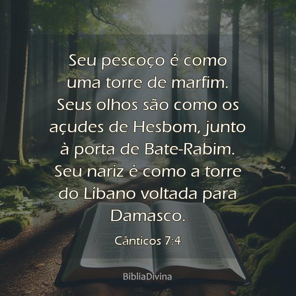 Cânticos 7:4