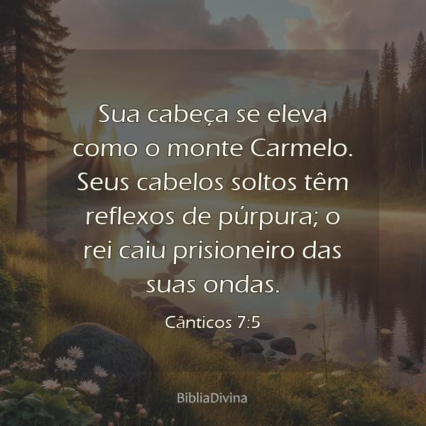 Cânticos 7:5