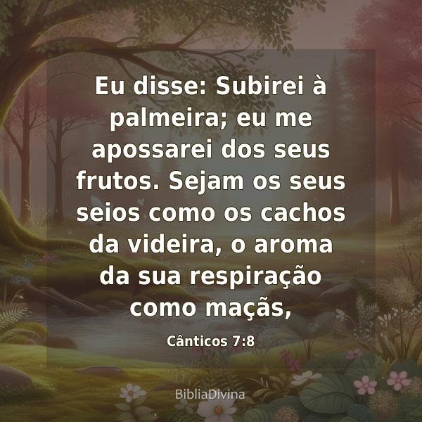 Cânticos 7:8