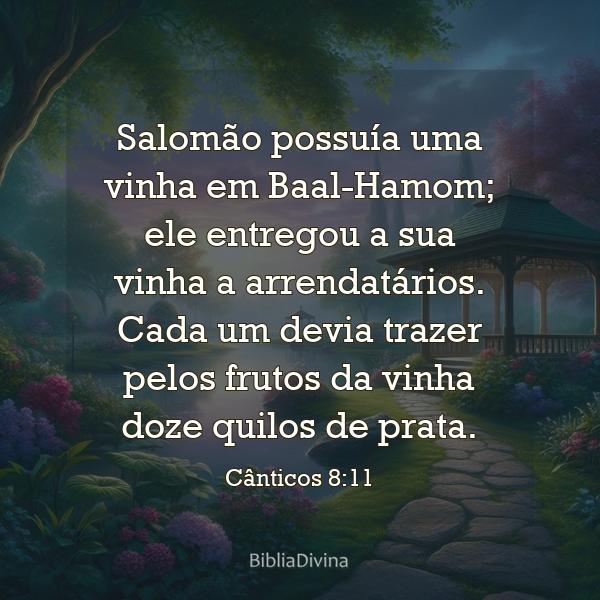 Cânticos 8:11