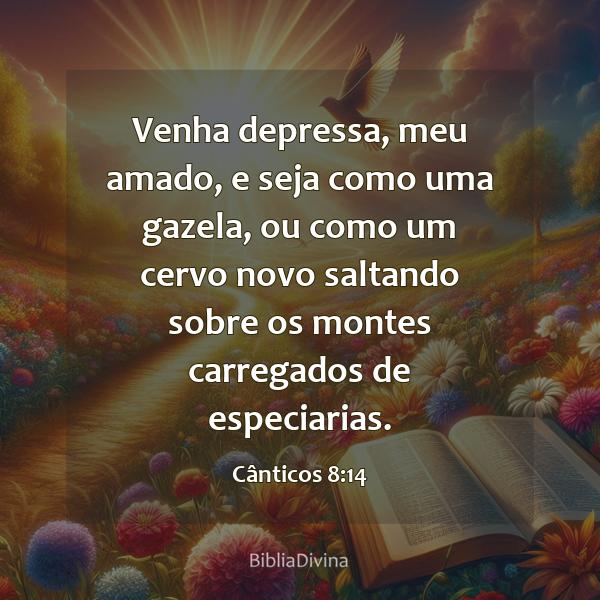 Cânticos 8:14