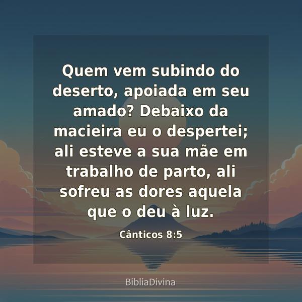 Cânticos 8:5