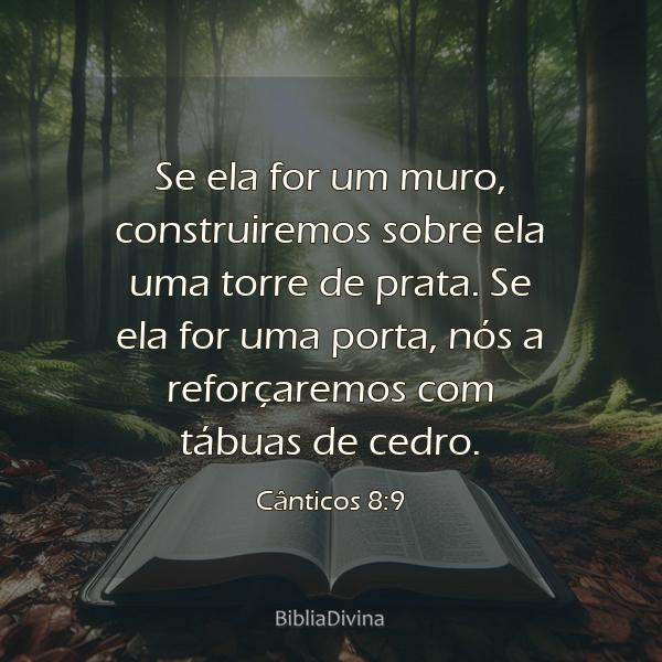 Cânticos 8:9