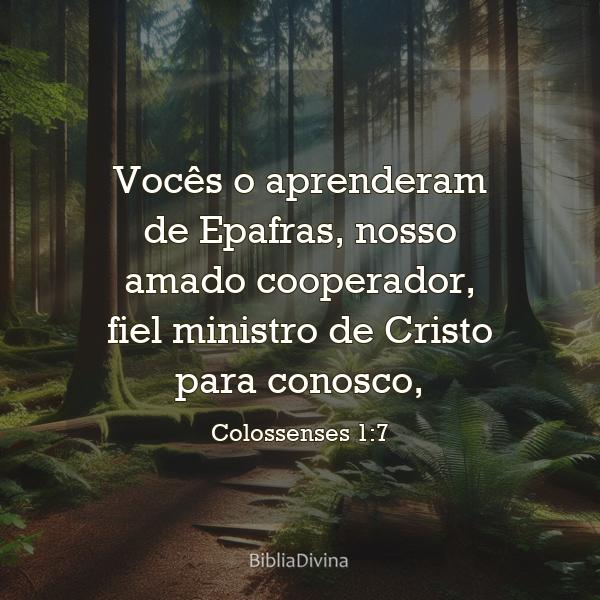 Colossenses 1:7