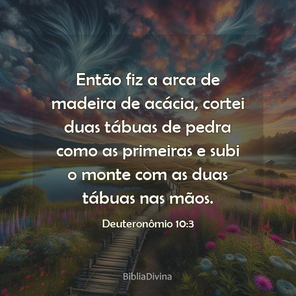 Deuteronômio 10:3