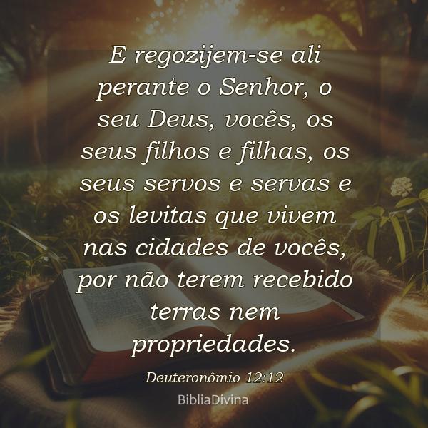 Deuteronômio 12:12