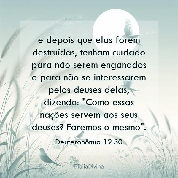 Deuteronômio 12:30