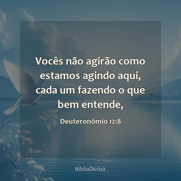 Deuteronômio 12:8