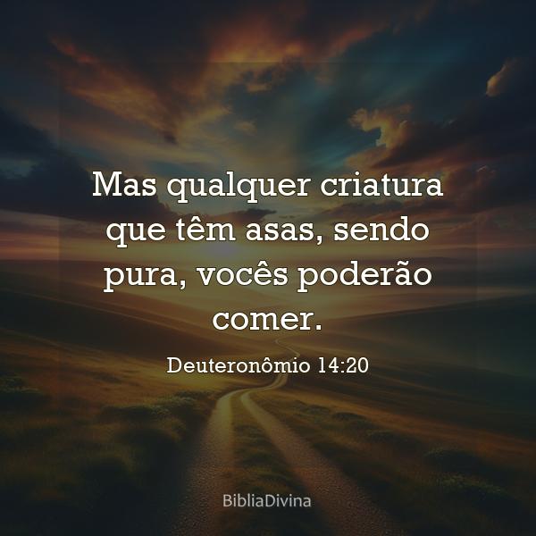 Deuteronômio 14:20