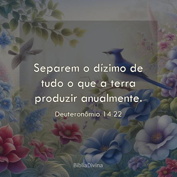 Deuteronômio 14:22