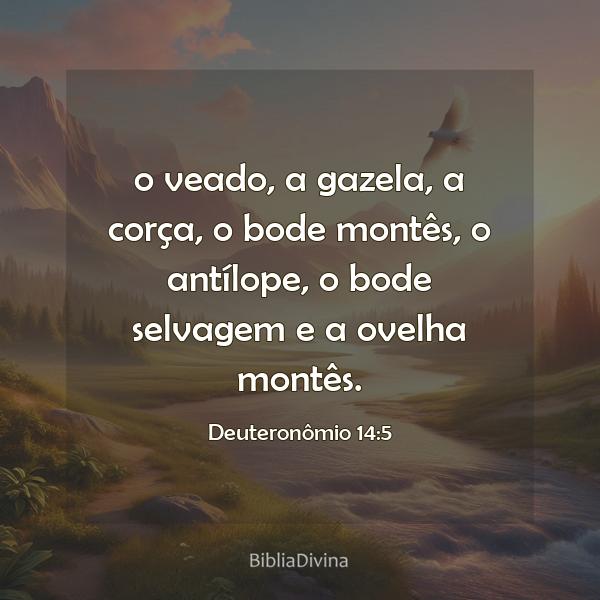 Deuteronômio 14:5