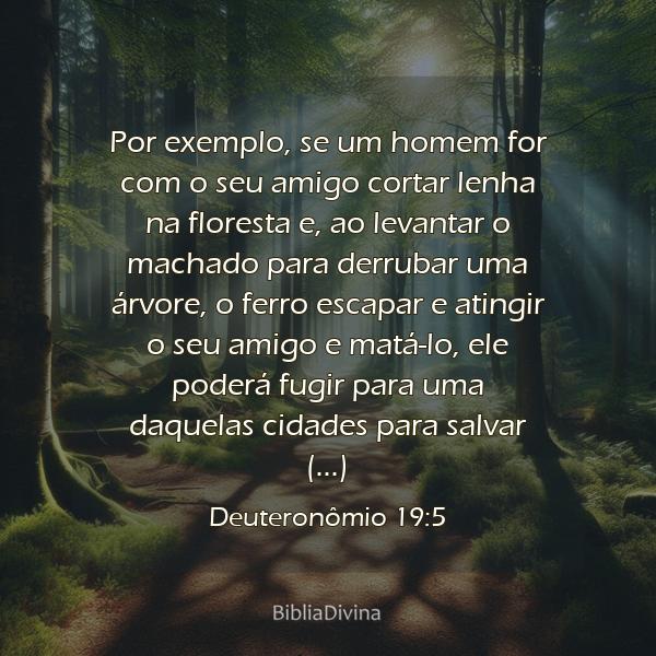 Deuteronômio 19:5