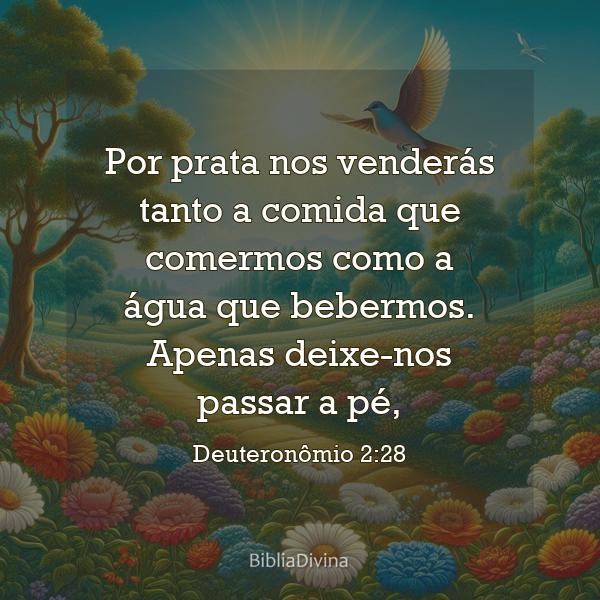 Deuteronômio 2:28