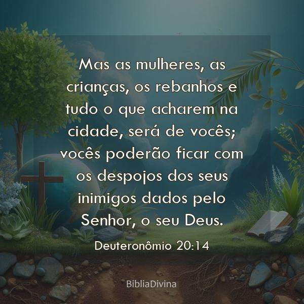 Deuteronômio 20:14