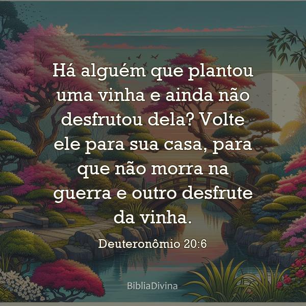 Deuteronômio 20:6