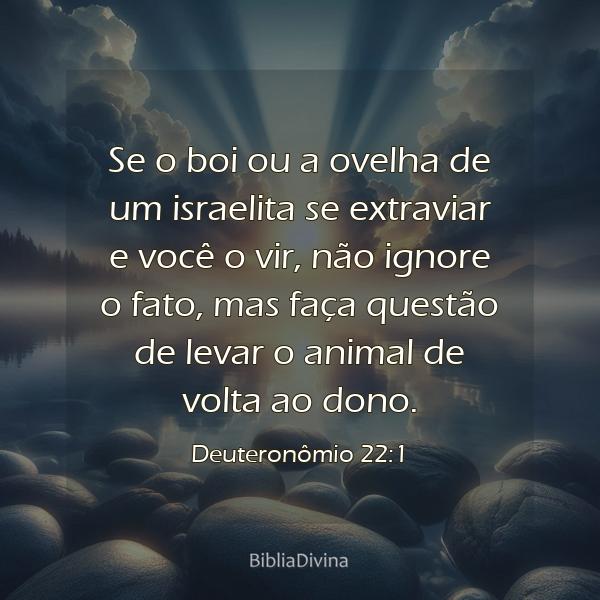 Deuteronômio 22:1