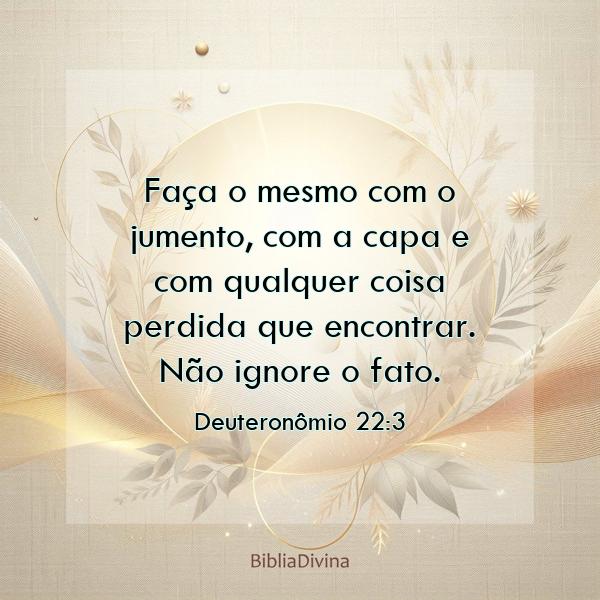 Deuteronômio 22:3