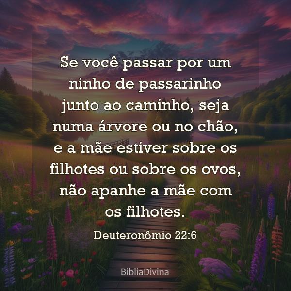 Deuteronômio 22:6