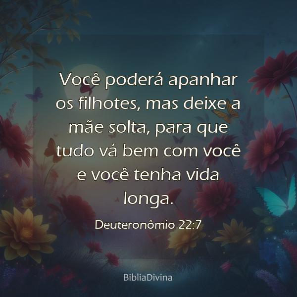 Deuteronômio 22:7