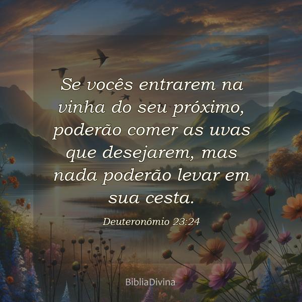 Deuteronômio 23:24