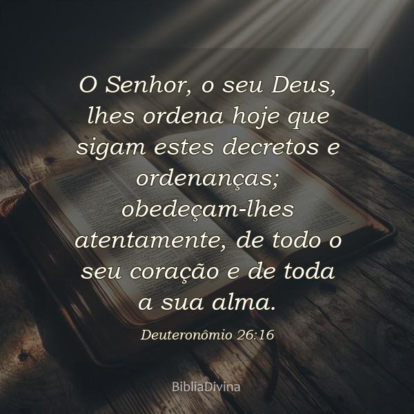 Deuteronômio 26:16