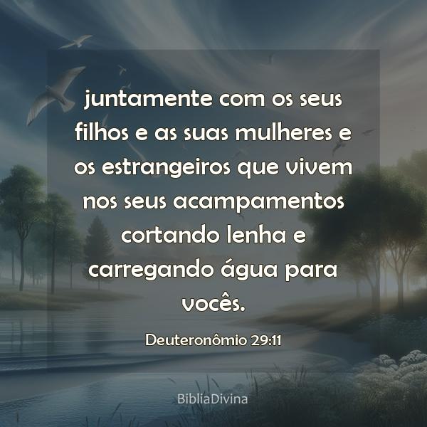 Deuteronômio 29:11