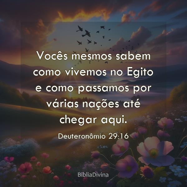 Deuteronômio 29:16