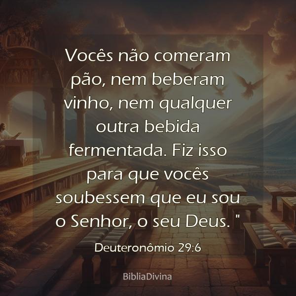 Deuteronômio 29:6