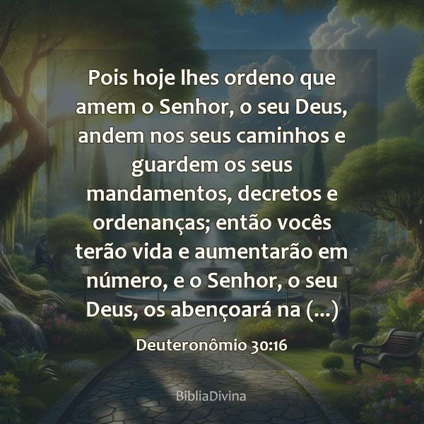 Deuteronômio 30:16