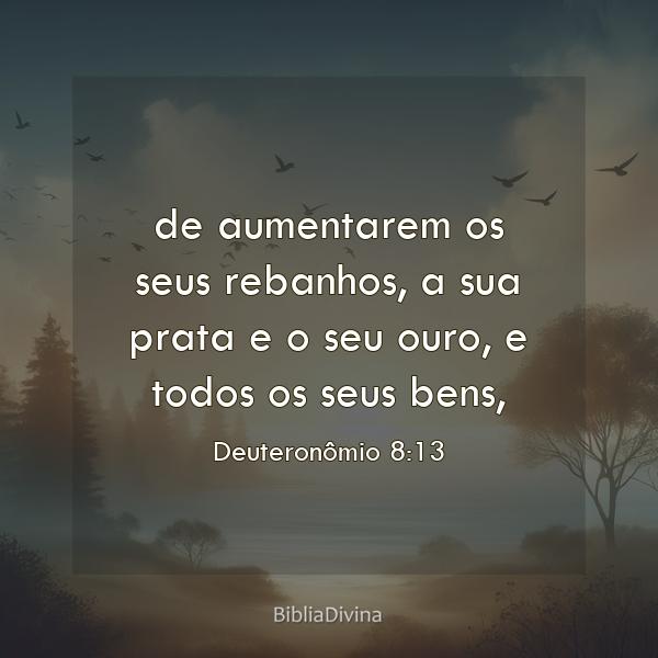 Deuteronômio 8:13