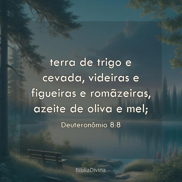 Deuteronômio 8:8