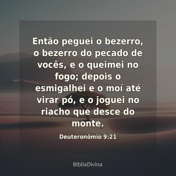 Deuteronômio 9:21