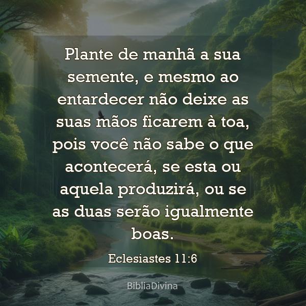 Eclesiastes 11:6