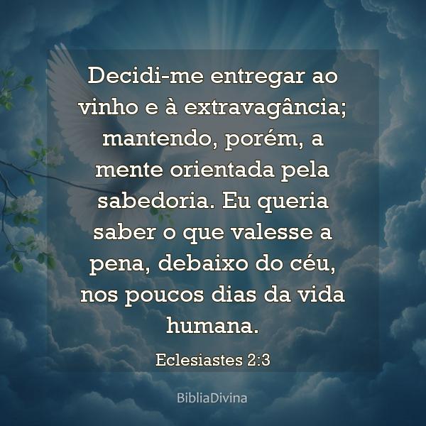 Eclesiastes 2:3