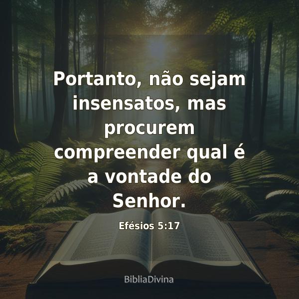 Efésios 5:17