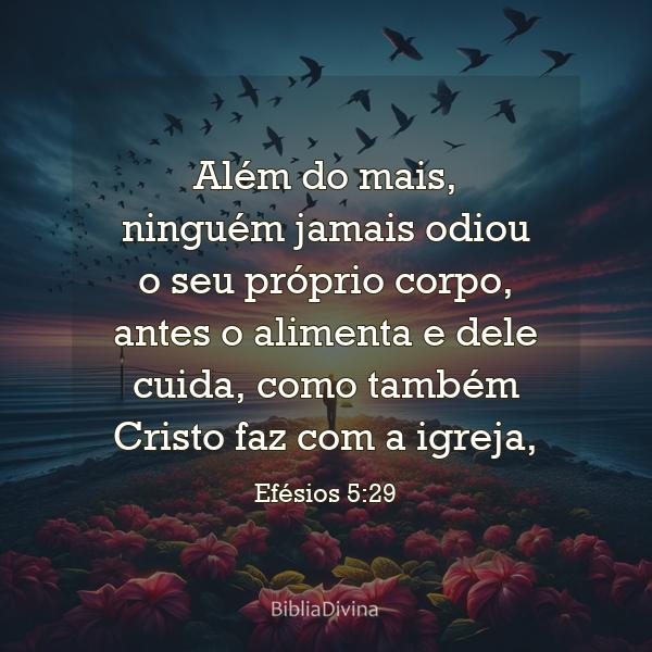 Efésios 5:29