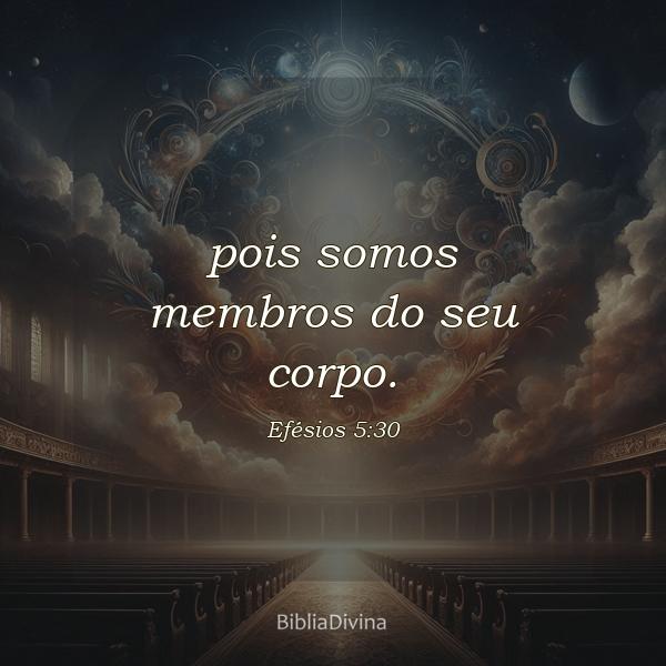 Efésios 5:30