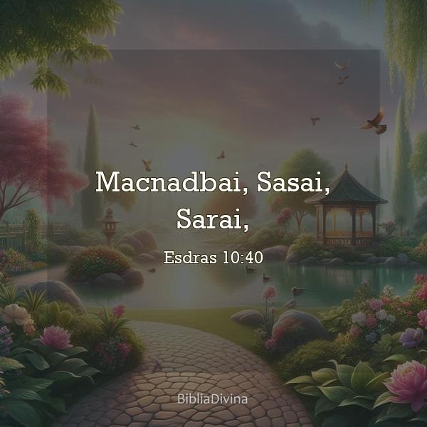 Esdras 10:40