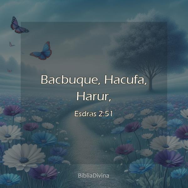 Esdras 2:51