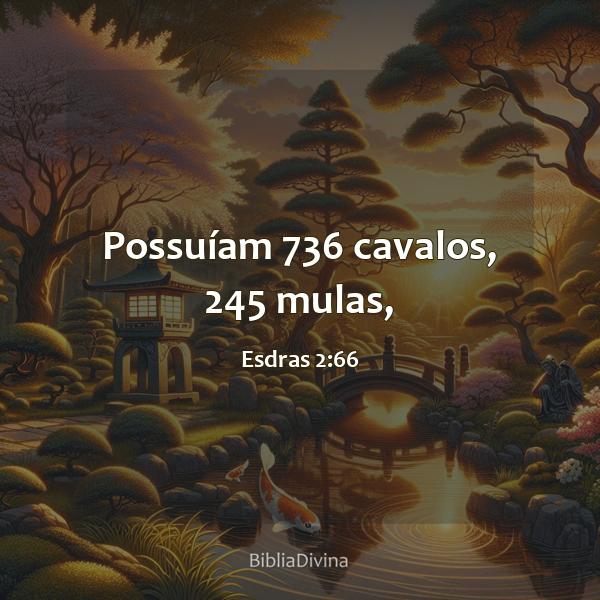 Esdras 2:66