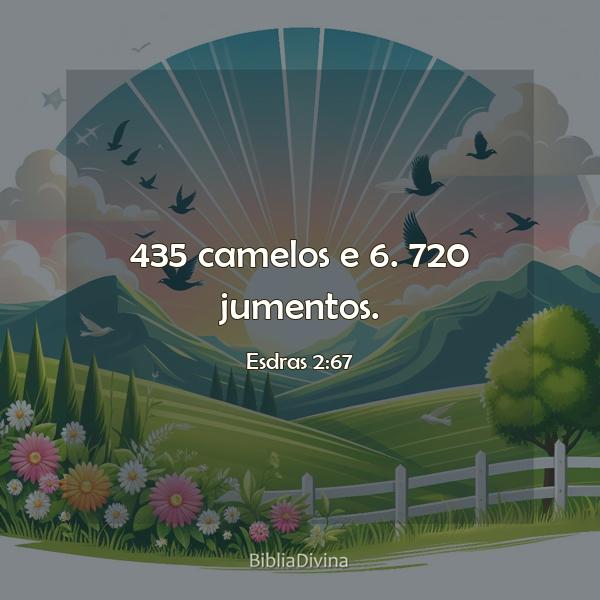 Esdras 2:67