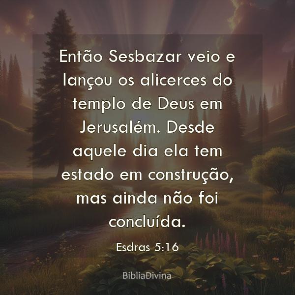 Esdras 5:16