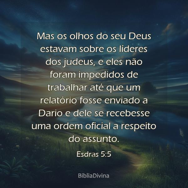 Esdras 5:5