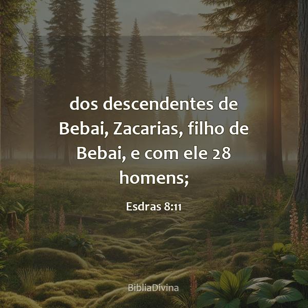 Esdras 8:11