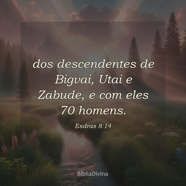 Esdras 8:14