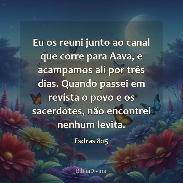 Esdras 8:15